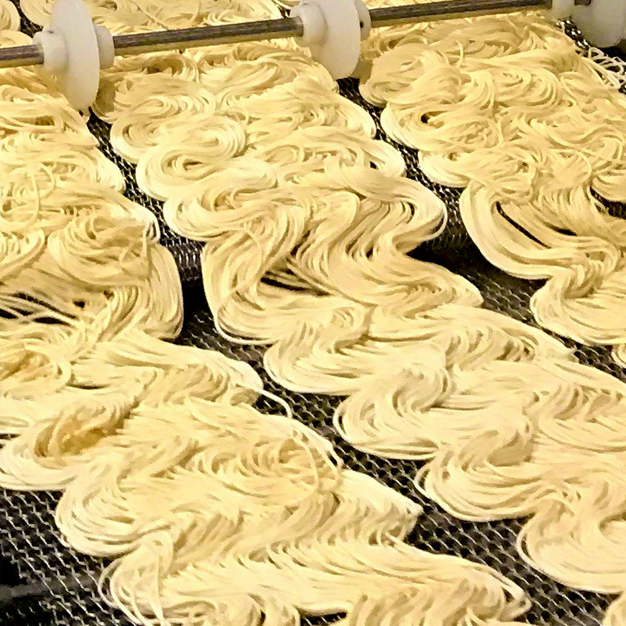 KP Noodle Produktion VIII